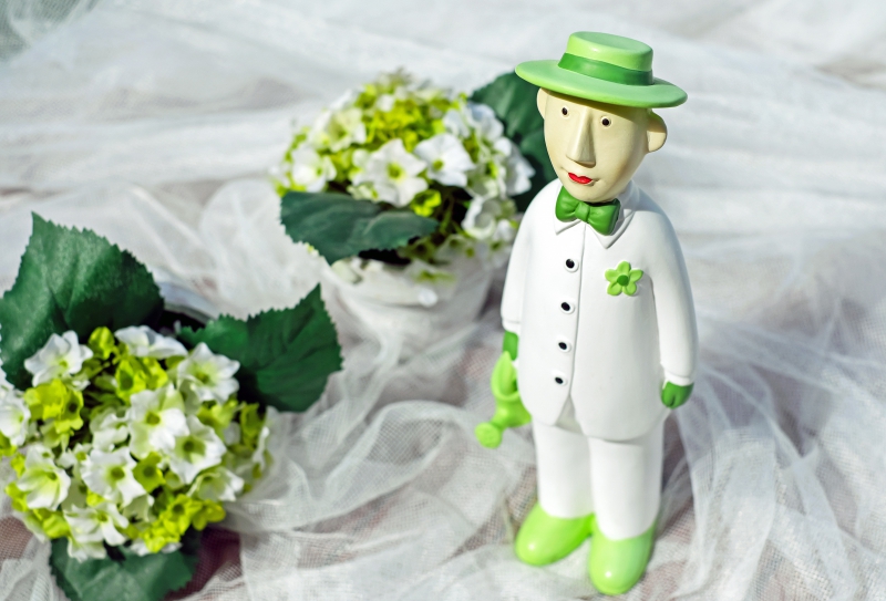 boutique-ST MARTIN VESUBIE-min_man-person-flower-green-toy-fig-546529-pxhere.com